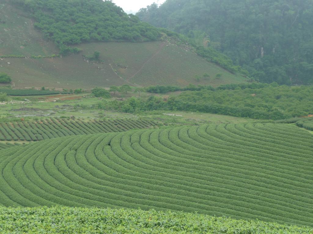 Mai Chau Valley View Hotel Hoa Binh Exterior photo